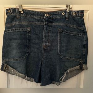 We the Free Palmer shorts